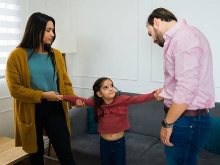 IL family lawyer